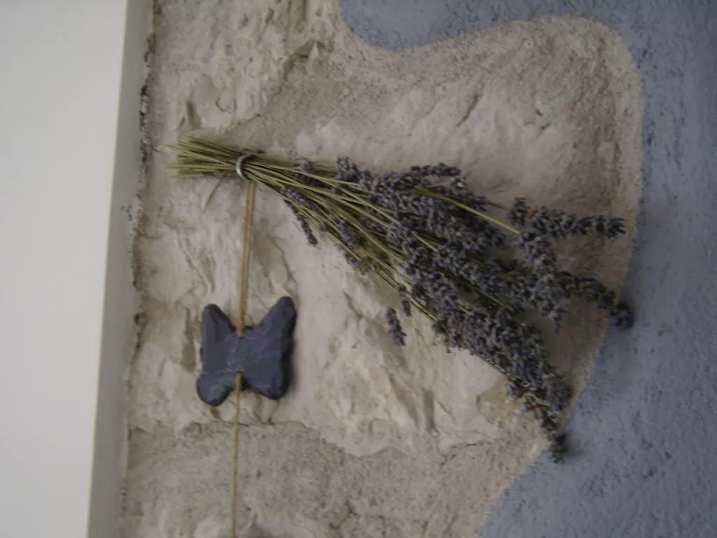Studio Apartment Lavender Split