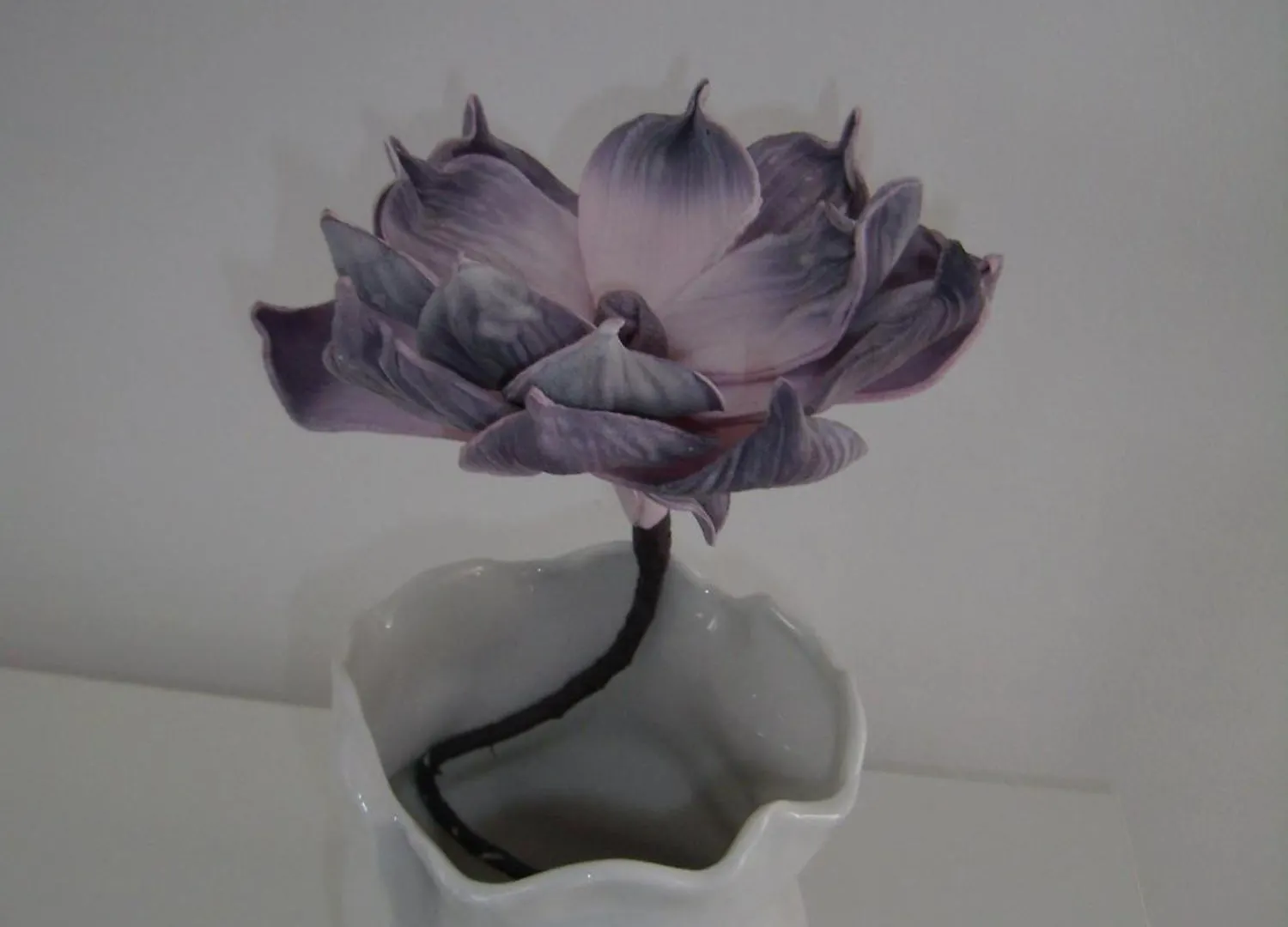 Studio Apartment Lavender Split